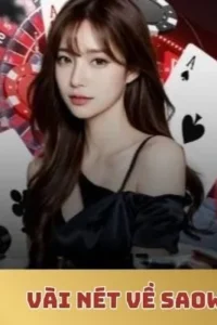 Cổng game saowin – Không gian giải trí trực tuyến đa dạng